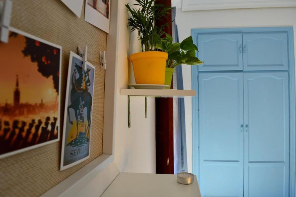 En Centro Con Vistas A La Plaza Alameda De Hercules - Hasta 6 Personas Appartement